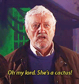  companions: Wilfred Mott 