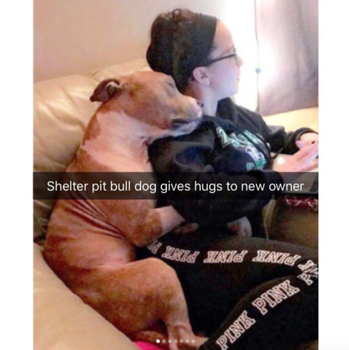 babyanimalgifs:Animal snaps