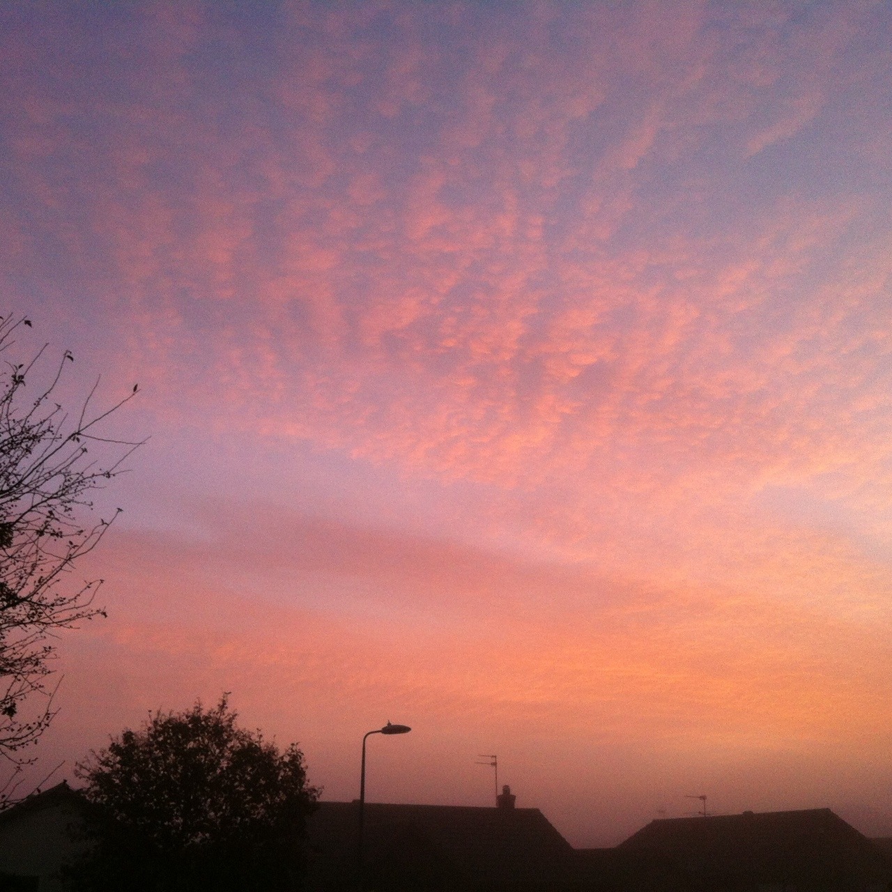 thesadcutie:  eus:  Last few nights  so so beautiful 