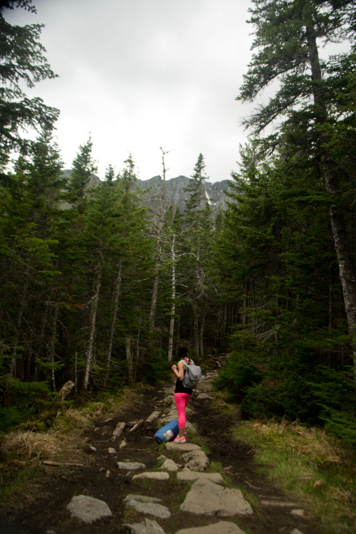 The plan was this: immediately after I returned from Belgium, we would drive out to Mount Washington
