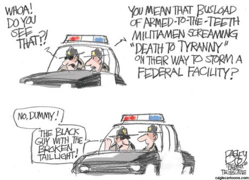 Cartoon Politics