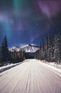 sartorialjohnnyboy: Aurora and the snow.