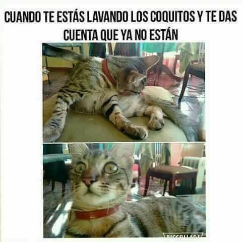 TERRIBLE HD