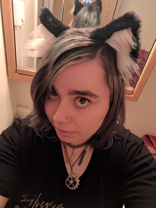 smolestkittenprincess: My ears from @kittensplaypenshop came in today!!! I feel so cute and precious