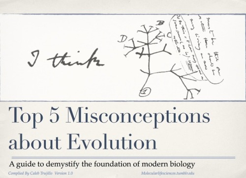 molecularlifesciences: Top 5 misconceptions about evolution: A guide to demystify the foundation of 