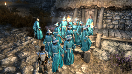 bakermiraak:bakermiraak:bakermiraak:bakermiraak:bakermiraak:bakermiraak:bakermiraak:i’m abandoning my current skyrim run to try and collect all 50+ vanilla followers and i’ve decided to dress them up in cool wizard robes to keep track of them