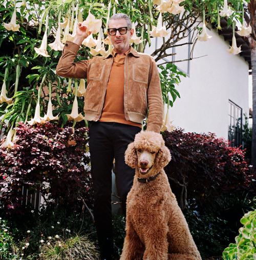 dylanobrien:Jeff Goldblum photographed by Chuck Grant for Vulture