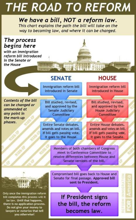 Wondering what’s next? Reform Immigration For America has this handy civics 101 refresher char
