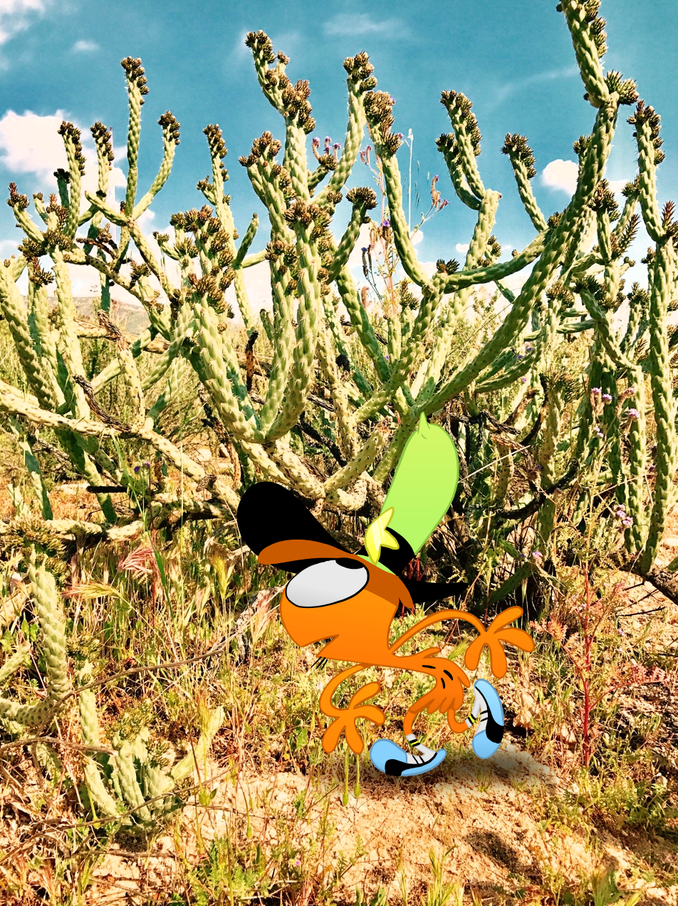 wanderin-over-yonder:  Wanderlust