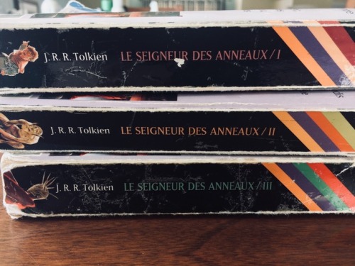 hedgehoginthesun:A few photos of my childhood/teenage copy of Lord of the Rings, along with the cool