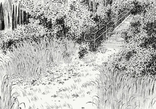 abandonedography:Pencil on paper, 2013 - Jun CenOriginal artwork for the animated short film Mu