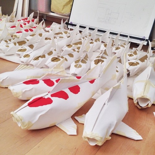 mabonaorigami:  we’re getting there! #koi #origami #mabonaorigami #installation 