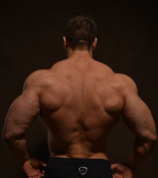 musclecorps:  