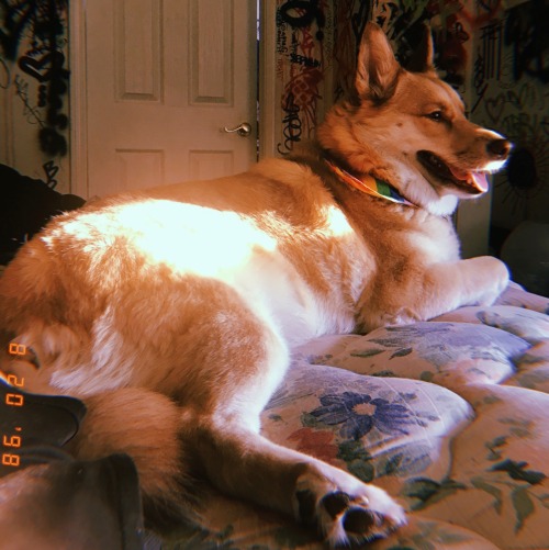 Love the HUJI photo app because I can take adult photos