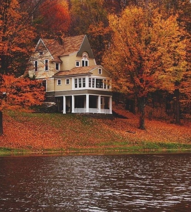 fallingforfall13:Where would you like to live and enjoy the autumn scenery? 🧡🤎