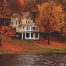 fallingforfall13:Where would you like to live and enjoy the autumn scenery? 🧡🤎
