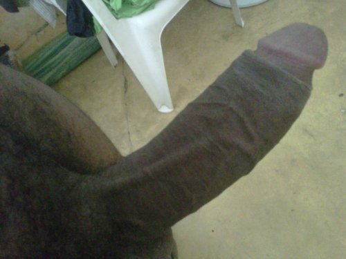 talldaddy:  dominicanbamboo:  DB #30  http://talldaddy.tumblr.com porn pictures