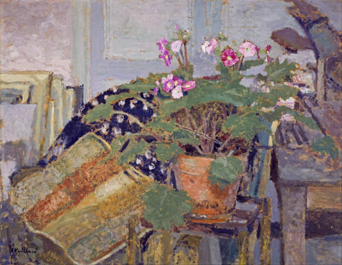 Le pot de fleurs (Pot of Flowers), Édouard Vuillard, 1900