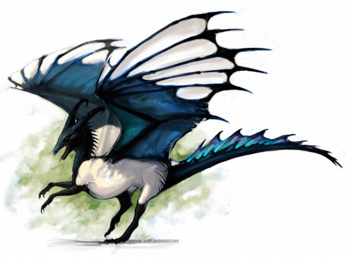 dragonsrights:Magpie Dragon by grzanka