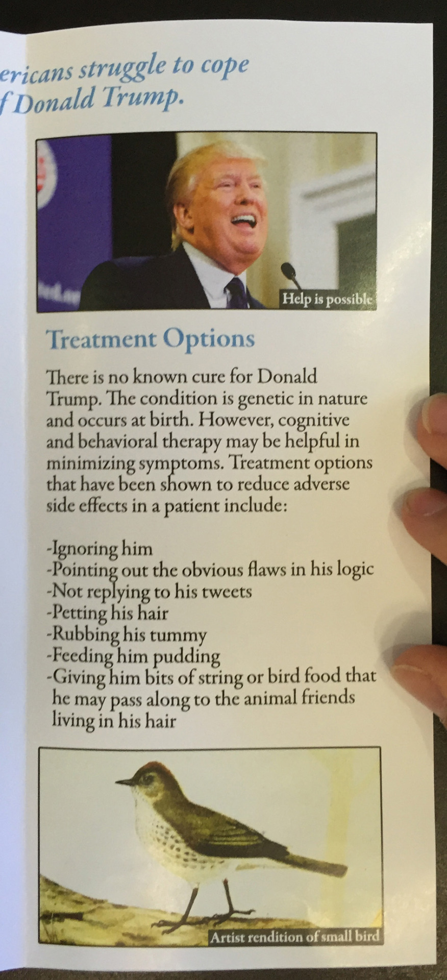 artistiquesoul:  obviousplant:  I added this fake health brochure about Donald Trump