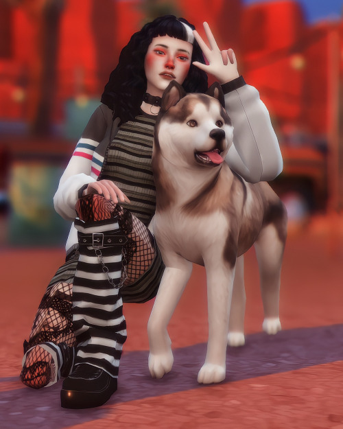 “My little best friend“ pose pack~ 3 poses with large dogyou need:~ pose player and teleporter~ Park
