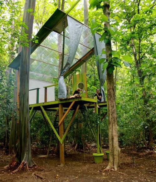 rahulssecondblog:  Tree house. 