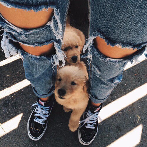 fashionsensexoxo:  Jeans >>> 