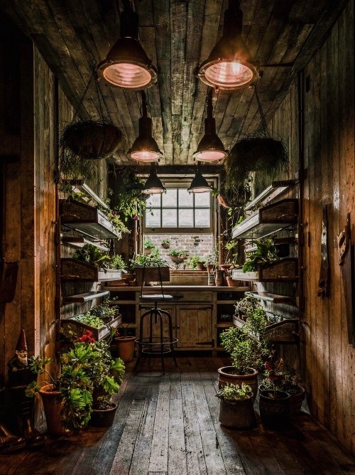 Featured image of post Dark Academia Aesthetic Kitchen : These dark academia food recipes not only taste amazing, but also have the vibe of a dimly lit café or gothic mansion.