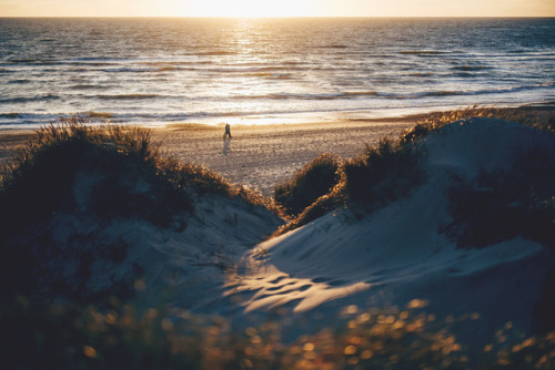 piavalesca: warm summer wind smelling like saltwater, dunegrass and rosehip