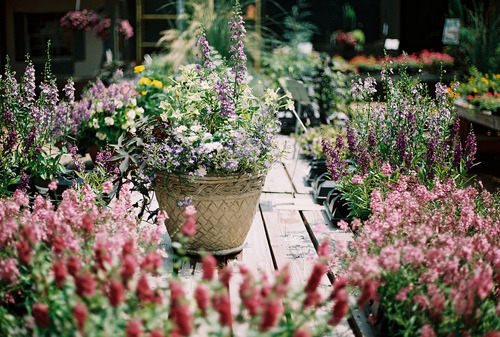 tumblr photo ventsetmarees 0