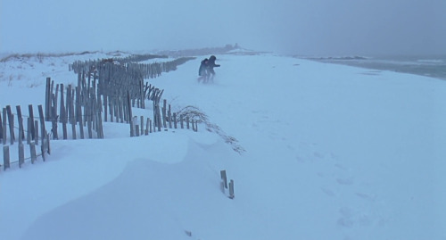 madeofcelluloid:  ‘Eternal Sunshine of the Spotless Mind’, Michel Gondry (2004)What a loss to spend that much time with someone, only to find out that she’s a stranger.