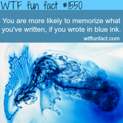 wtf-fun-factss:  How to remmeber what you