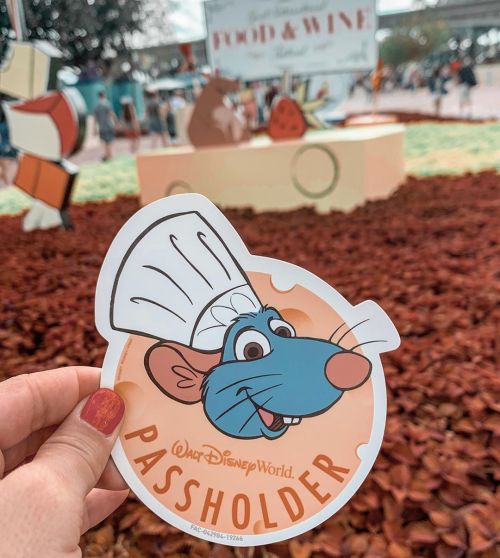 Picked up my annual passholder magnet just in time ‍ I’m ready for all things holiday at EPCOT bring