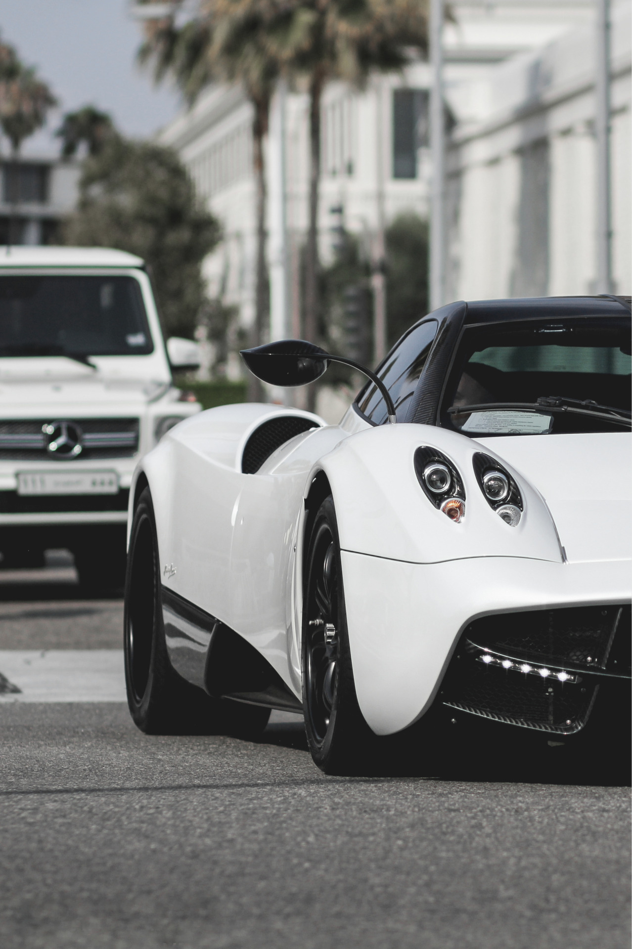 Luxurious Blog
