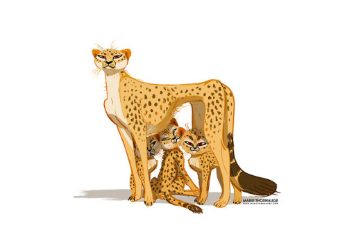 mariethorhauge: Little cheetah family ♥