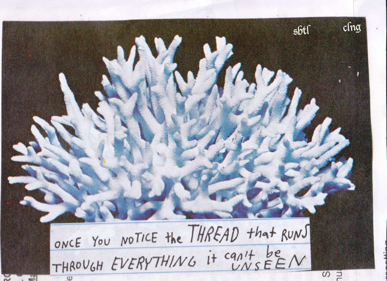 subtleceiling:  for better or worse 