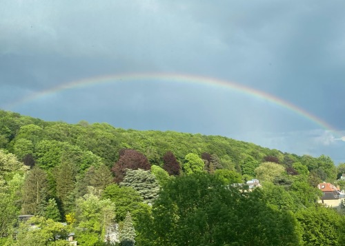 Also Finally I Have A Picture Of My Window View For Every Season.