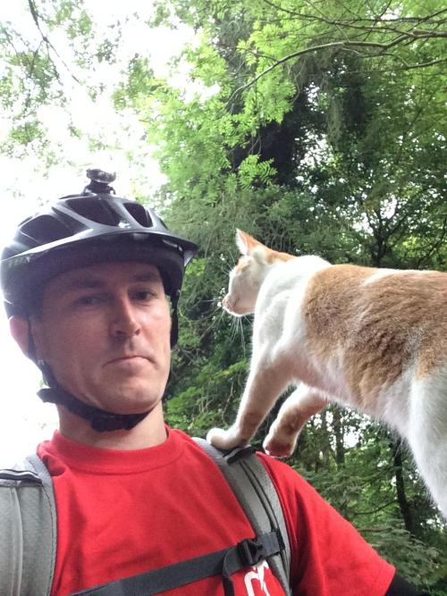catsbeaversandducks:“When I stopped cycling this cat came out of the woods. I bent down to pet it th