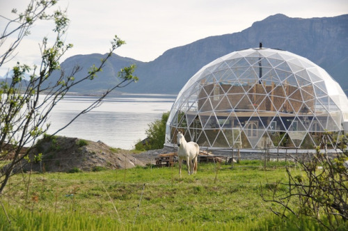 A gorgeous cob home wrapped in a geodesic dome.Source: Inhabitant