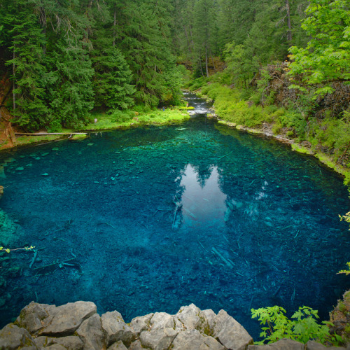 silvaris:  Tamolitch Pool by Nicholas Katzer  It’s always beautiful to find the end of the river. I’ve traveled a lot and finding the pools where the river goes from anxious to calm is so satisfying. I have memories of driving down dirt roads in the