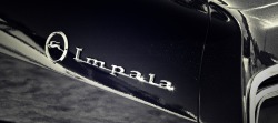elkking:  1967 Chevy Impala 