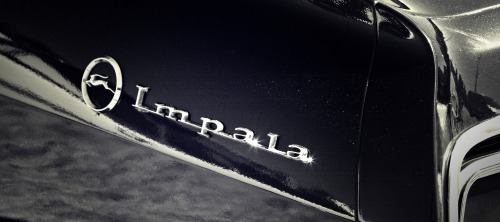 Porn elkking:  1967 Chevy Impala  photos