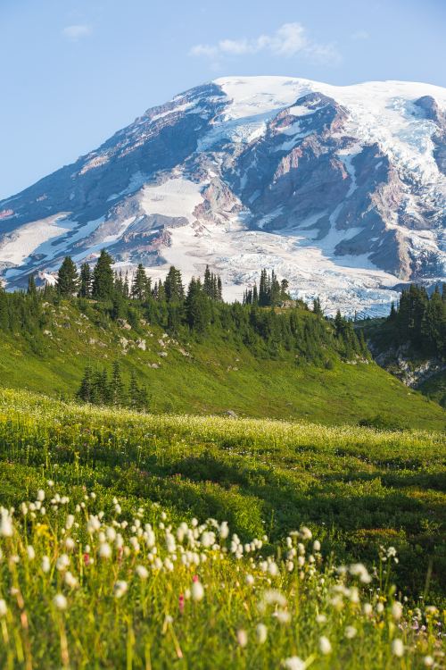 expressions-of-nature:Mount Rainier, Washington by Madeleine Wilson