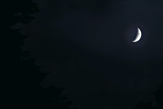 c9fb4ca946b2bd7c7fd1240922e1deafe6b78495.gif
