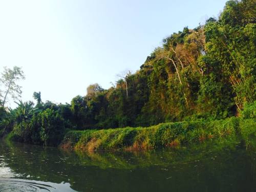 alexiiiraia:  Canoeing…In the Jungle, the mighty Jungle, the Lion sleeps tonight… ☀️ #alexiiiyonatra