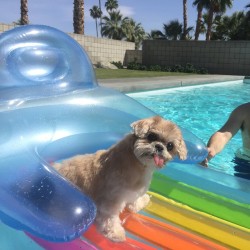 marniethedog:  I learned how 2 float