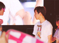 baekyeolarry:  Let’s bring this back credit to owner of the picture and gifs 