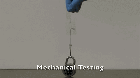 txchnologist: New Plastic Heals Itself When Cut A project harnessing squid genetics