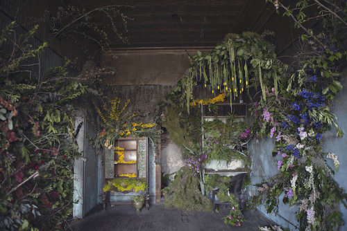 girlinbk:Flower HouseAn Abandoned Detroit House Gets Adorned with 4000 FlowersDetroit florist, Lisa 