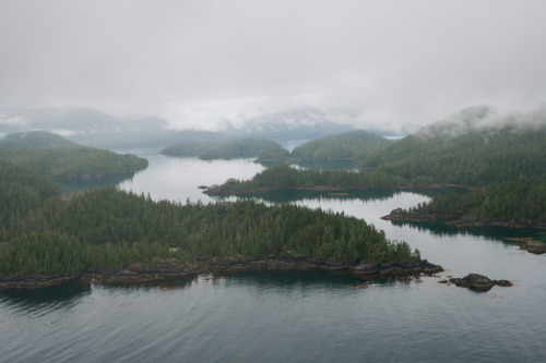 Nootka Island by Bryn Tassell